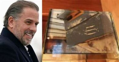 Hunter Biden’s lawyers say prosecutors confused a picture of sawdust with cocaine